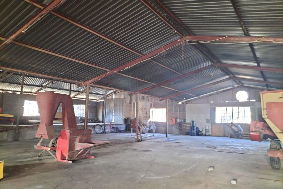 Large industrial utility space featuring high-clearance corrugated metal roofing, exposed steel trusses, and durable concrete flooring, suitable for storage or manufacturing operations.