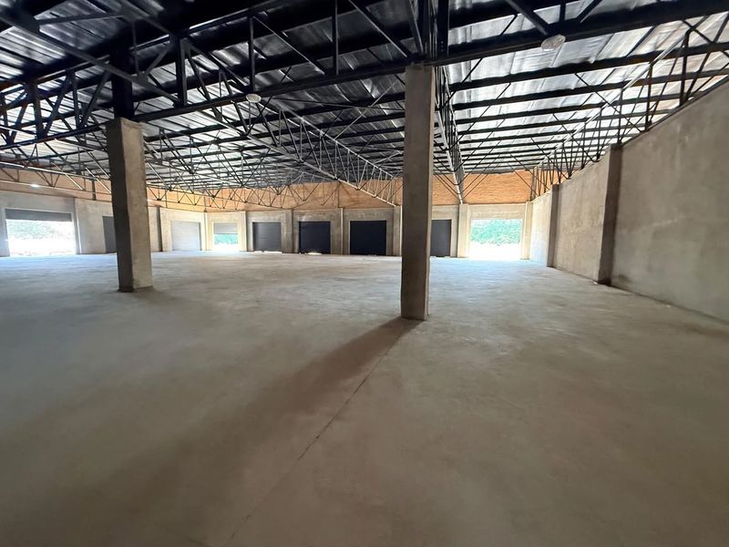 Spacious open-plan retail or industrial warehouse area featuring exposed steel roof trusses, concrete flooring, and multiple roller shutter access points.