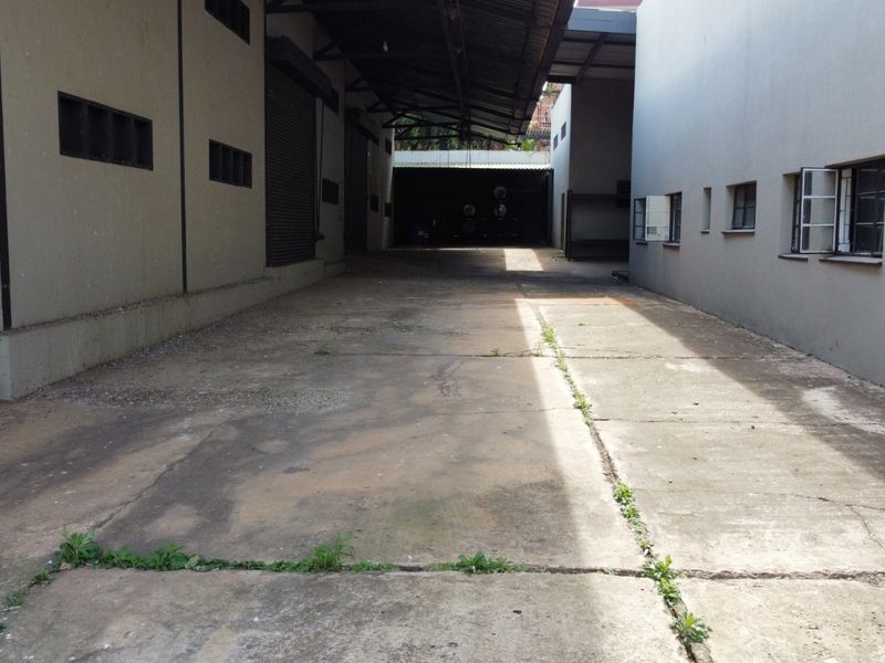 Industrial loading area featuring a concrete driveway, steel roof structure, and roller shutter access to the warehouse facility.