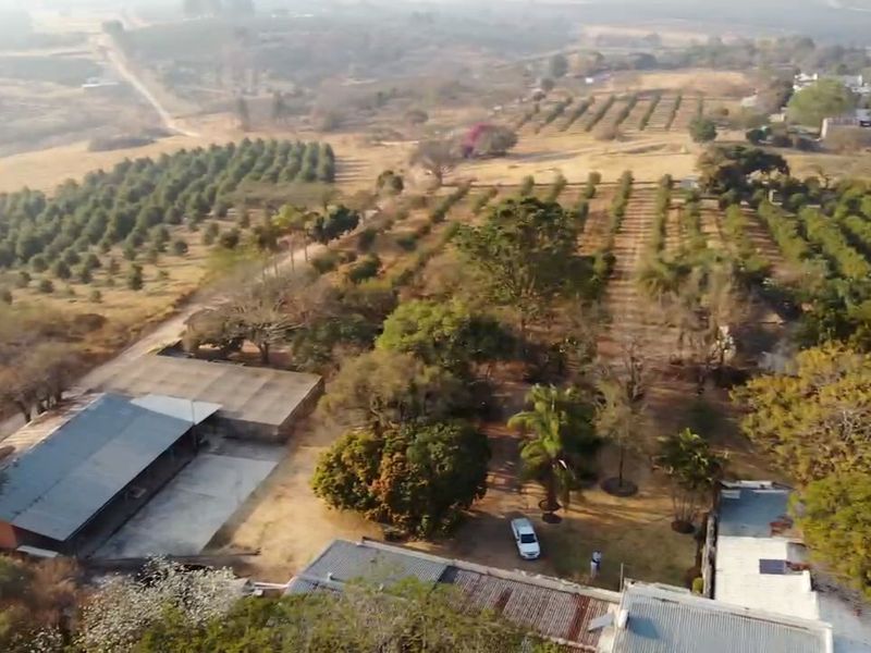Aerial view of a small holding property featuring extensive orchards, farm buildings, and established landscaping in a rural setting.