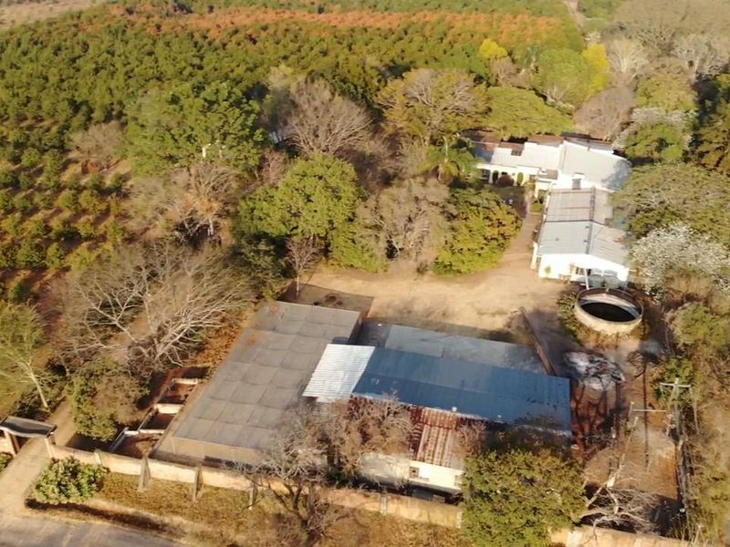 Aerial view of a small holding property featuring extensive orchards, multiple outbuildings, a water reservoir, and perimeter fencing.