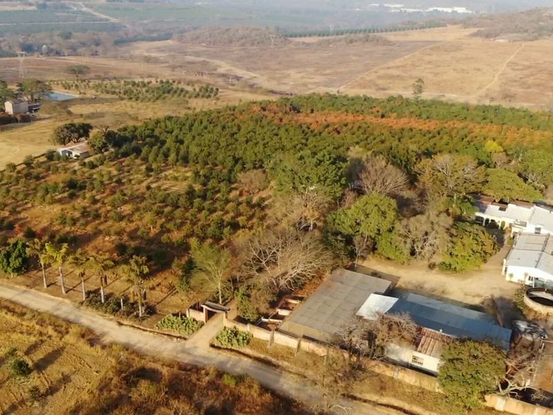Aerial view of a small holding featuring extensive orchards, multiple farm buildings, a water reservoir, and direct access to a rural road.