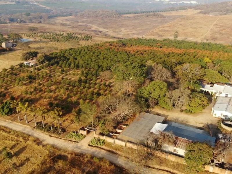 Aerial view of a small holding property featuring extensive orchard grounds, multiple farm buildings, and established perimeter infrastructure.