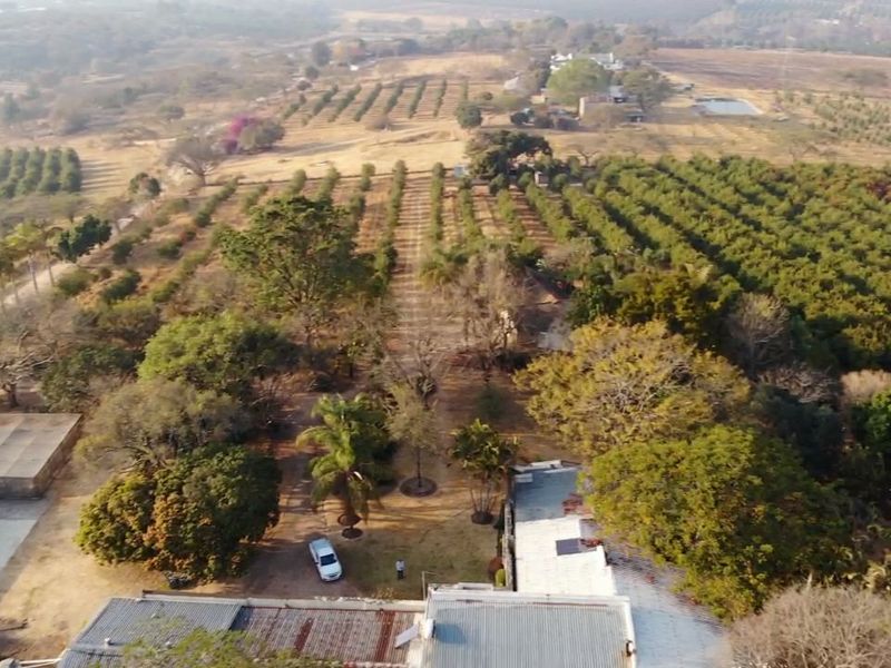 Aerial view of a small holding property featuring extensive orchards, mature trees, and multiple outbuildings with corrugated metal roofing.