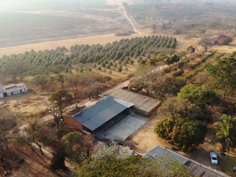 Aerial view of a small holding property featuring agricultural land, orchards, and multiple outbuildings with corrugated metal roofing.
