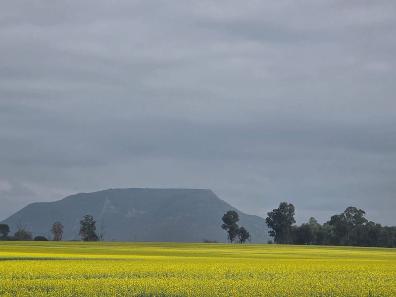 Exceptional  Irrigation Farm with water rights for sale in Normandien - Photo 3