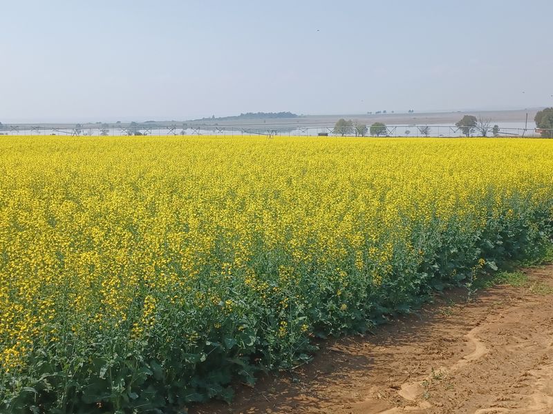 Exceptional  Irrigation Farm with water rights for sale in Normandien - Photo 5
