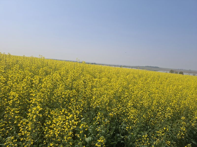 Exceptional  Irrigation Farm with water rights for sale in Normandien - Photo 7
