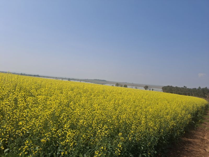 Exceptional  Irrigation Farm with water rights for sale in Normandien - Photo 6