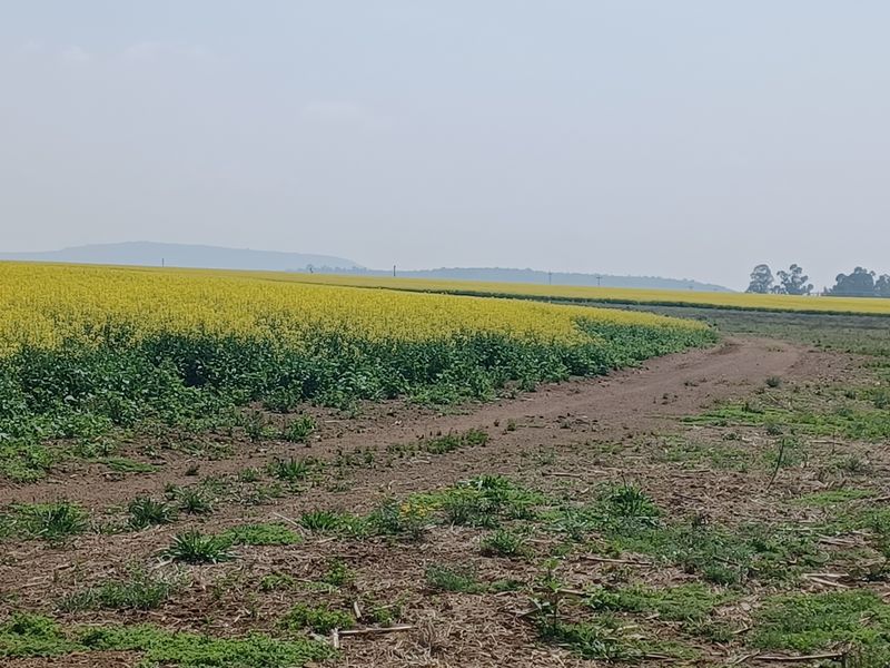 Exceptional  Irrigation Farm with water rights for sale in Normandien - Photo 9