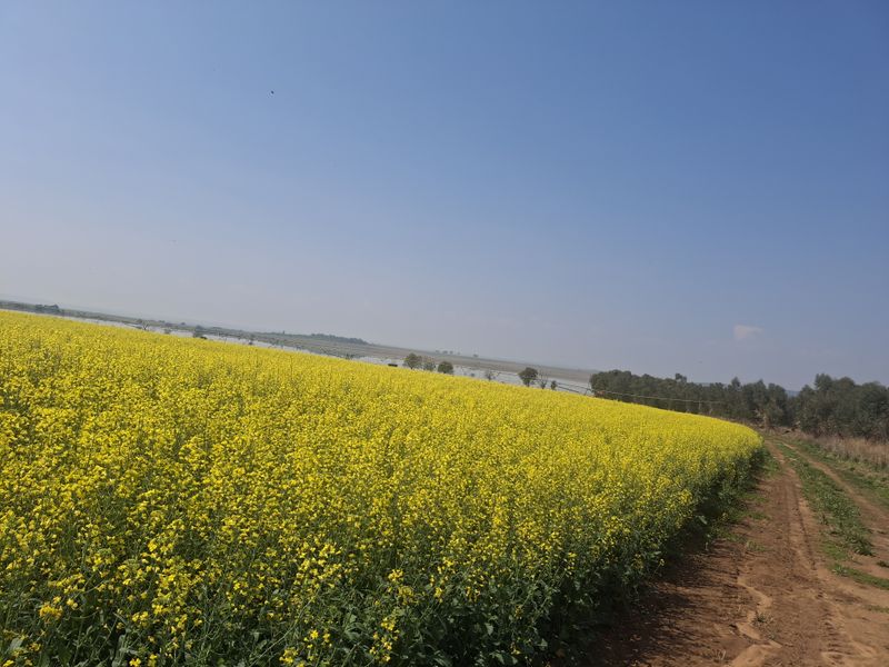 Exceptional  Irrigation Farm with water rights for sale in Normandien - Photo 8