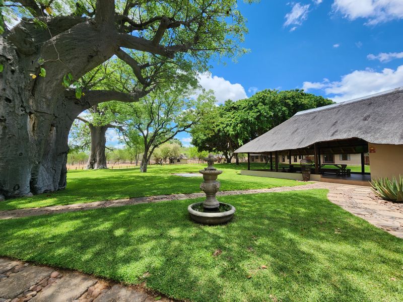 Exceptional 1,168 ha Luxury Game & Irrigation Farm for Sale – Mopane, Limpopo - Photo 2