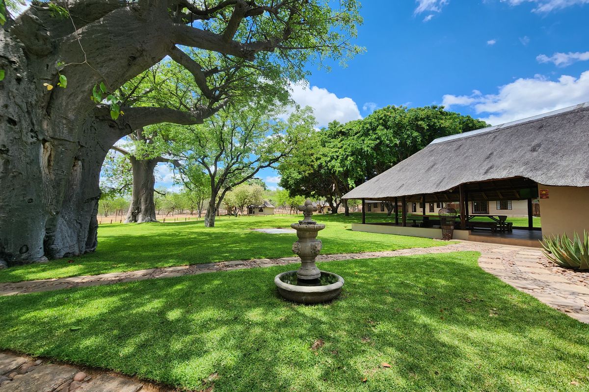 Exceptional 1,168 ha Luxury Game & Irrigation Farm for Sale – Mopane, Limpopo - Photo 2