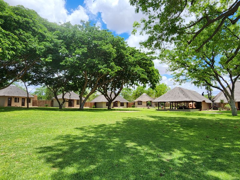 Exceptional 1,168 ha Luxury Game & Irrigation Farm for Sale – Mopane, Limpopo - Photo 3