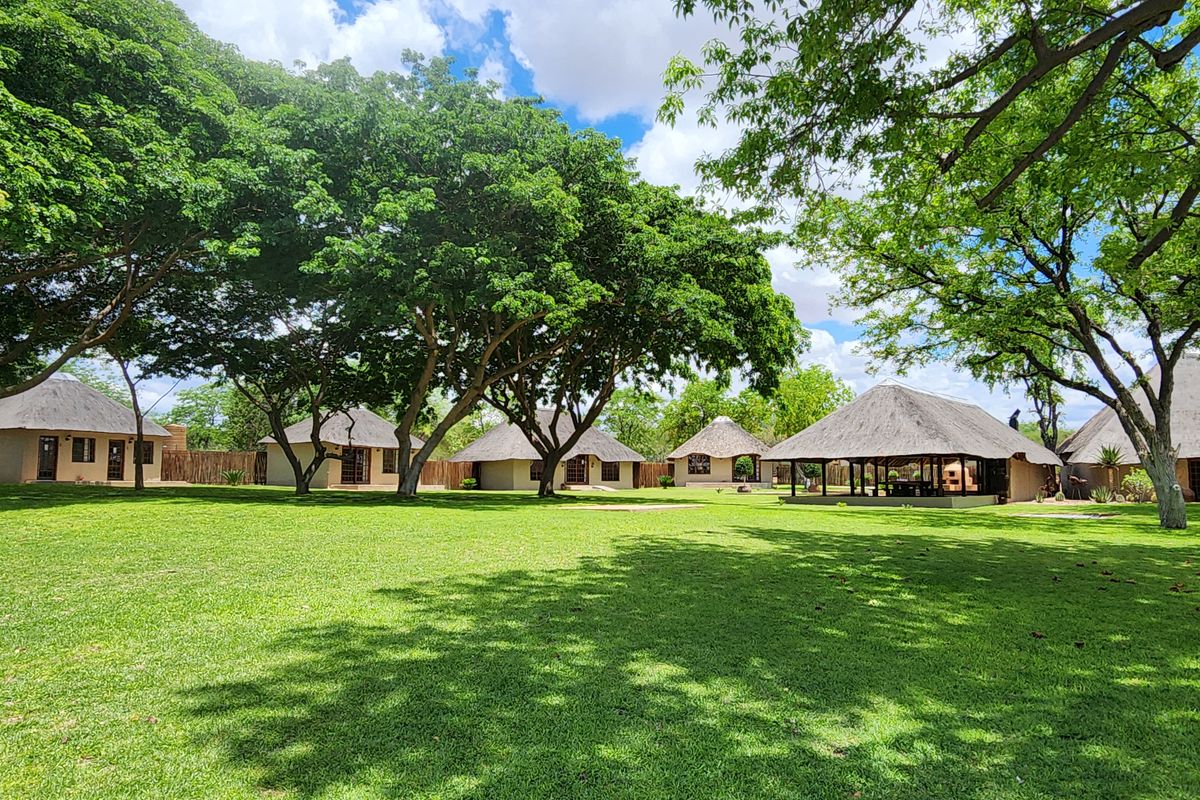 Exceptional 1,168 ha Luxury Game & Irrigation Farm for Sale – Mopane, Limpopo - Photo 3