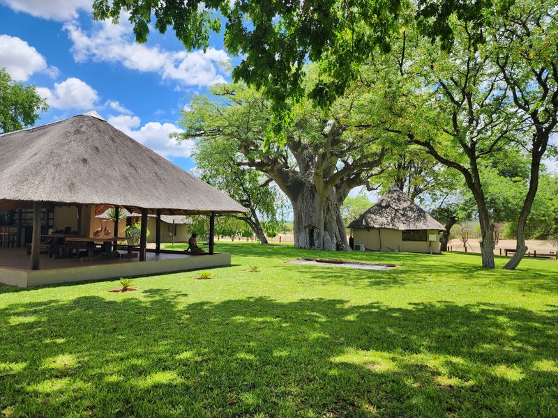 Exceptional 1,168 ha Luxury Game & Irrigation Farm for Sale – Mopane, Limpopo - Photo 4