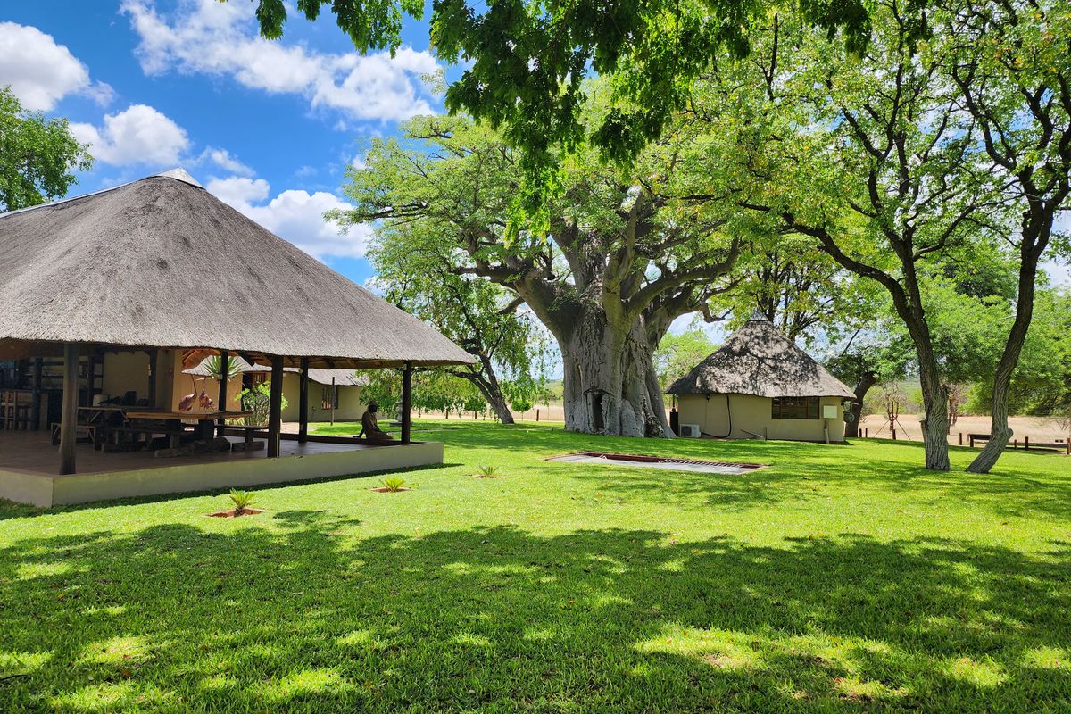 Exceptional 1,168 ha Luxury Game & Irrigation Farm for Sale – Mopane, Limpopo - Photo 4