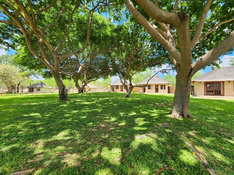 Exceptional 1,168 ha Luxury Game & Irrigation Farm for Sale – Mopane, Limpopo - Photo 5