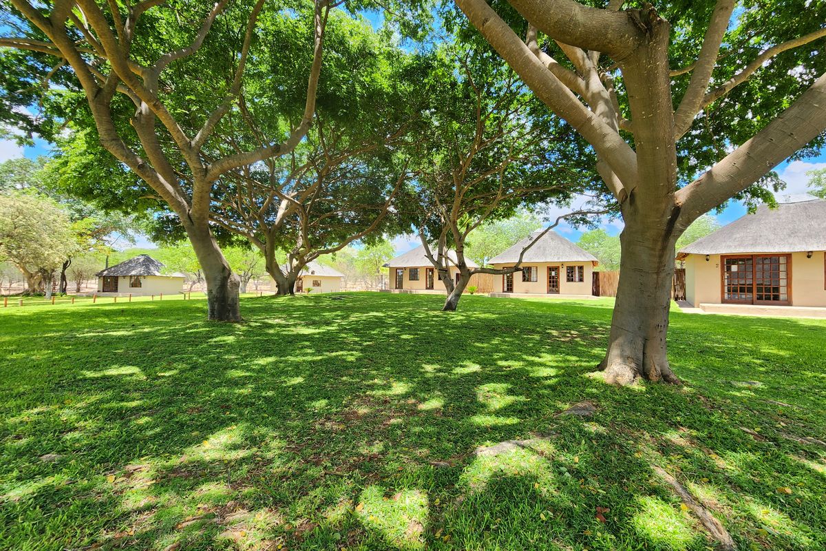 Exceptional 1,168 ha Luxury Game & Irrigation Farm for Sale – Mopane, Limpopo - Photo 5