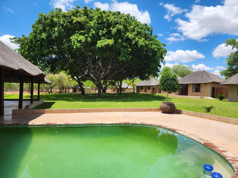 Exceptional 1,168 ha Luxury Game & Irrigation Farm for Sale – Mopane, Limpopo - Photo 7