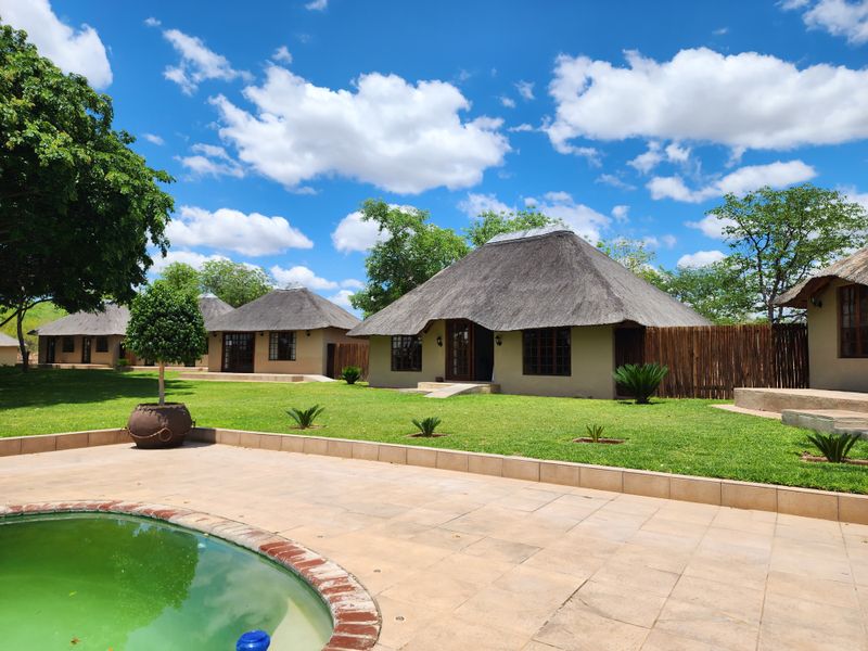 Exceptional 1,168 ha Luxury Game & Irrigation Farm for Sale – Mopane, Limpopo - Photo 6