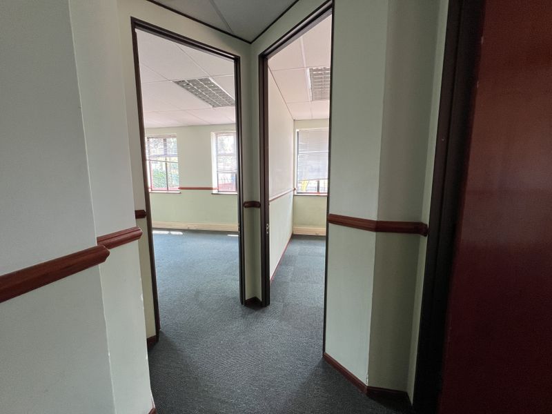 A view from a hallway looking into two empty office spaces featuring carpeted floors, suspended ceilings, and chair rail molding.