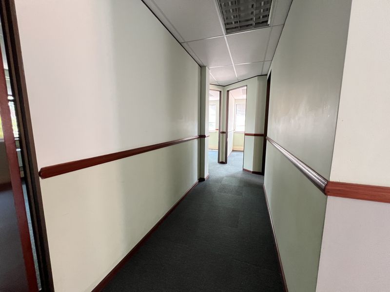 A functional office hallway featuring a suspended ceiling, recessed lighting, and a dado rail, providing access to multiple office spaces.