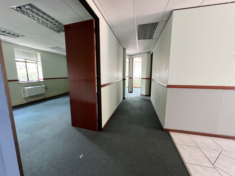 A vacant office hallway featuring carpeted flooring, suspended ceilings with recessed lighting, and access to multiple office rooms with chair rail detailing.