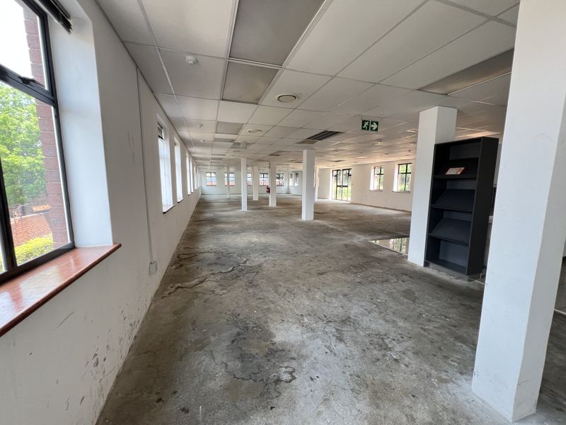 Spacious open-plan office area featuring a suspended ceiling, structural columns, and large windows providing ample natural light.