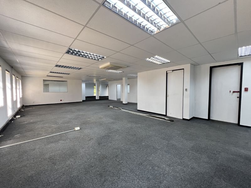 A spacious, open-plan office area featuring suspended ceilings, recessed lighting, and carpeted flooring, offering a versatile workspace ready for customization.