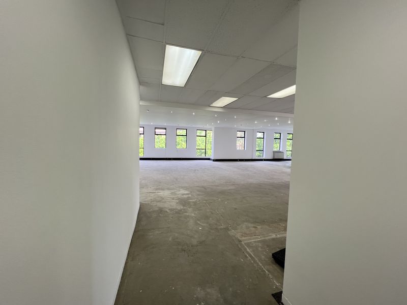 A spacious, open-plan office area featuring large windows, suspended ceilings with recessed lighting, and unfinished concrete flooring, ready for custom fit-out.