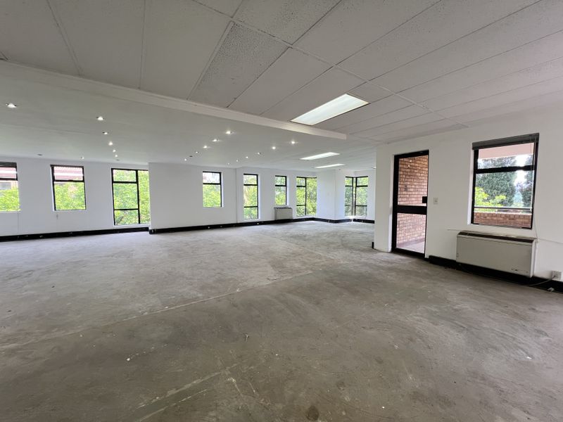 A spacious, open-plan office area featuring large windows, suspended ceilings with recessed lighting, and an unfinished concrete floor, ready for custom flooring installation.