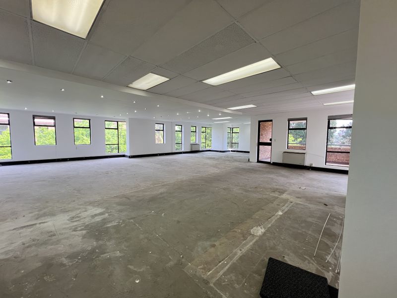 A spacious, open-plan office area featuring a suspended ceiling with integrated lighting, large windows providing natural light, and an unfinished concrete floor.