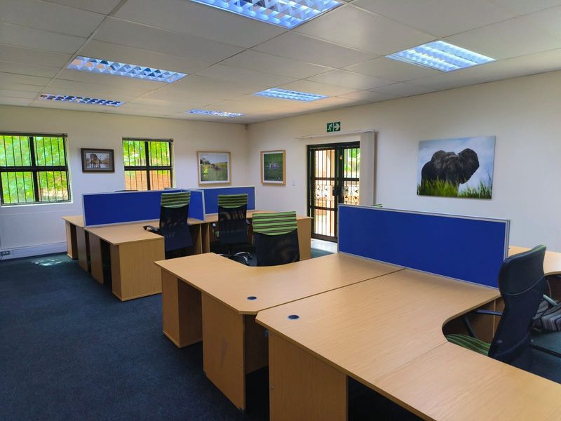 A functional office space featuring a suspended ceiling with recessed lighting, carpeted flooring, and secure window and door access.