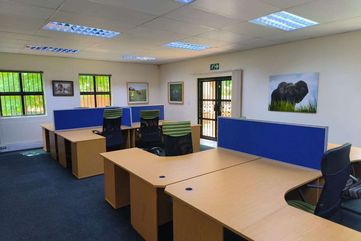 A functional office space featuring a suspended ceiling with recessed lighting, carpeted flooring, and secure window and door access.
