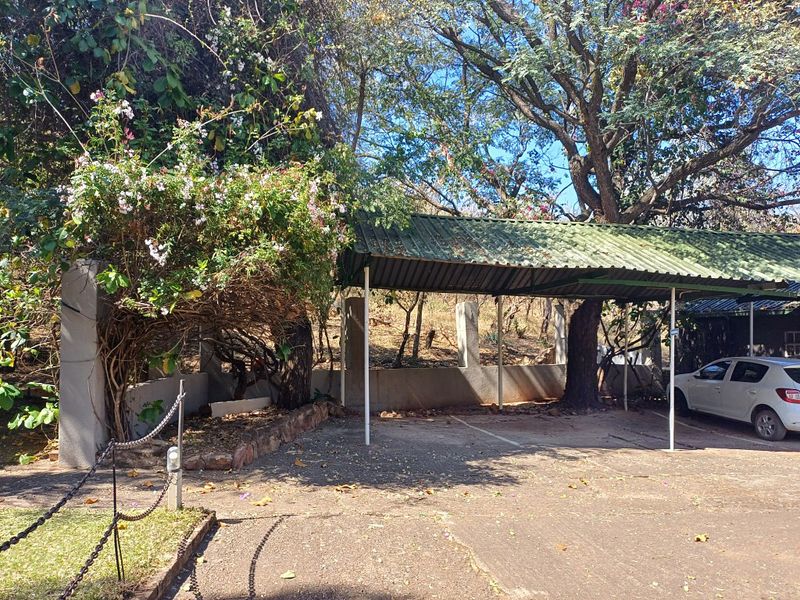 A covered outdoor carport area with a concrete driveway and retaining wall, situated in a natural, tree-lined setting.