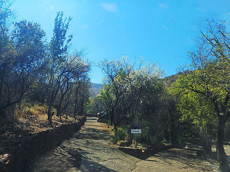 A paved driveway leading through a wooded garden area with mature trees and stone retaining walls on the property grounds.