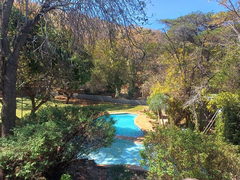 A scenic outdoor pool area nestled within a lush, mature garden setting, featuring natural stone elements and a tranquil, private atmosphere.