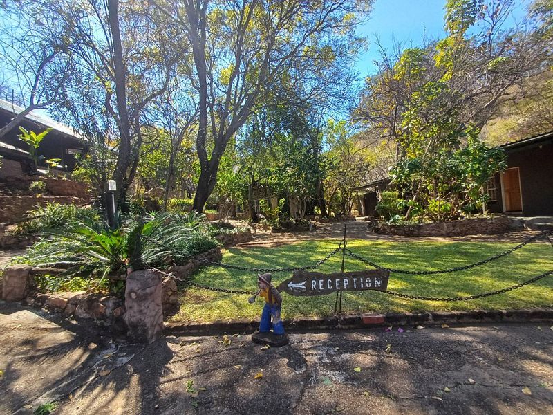 A lush, well-maintained garden area at the lodge featuring mature trees, stone retaining walls, and paved pathways leading towards the reception area.