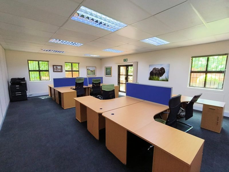 A well-lit office space featuring a suspended ceiling, recessed lighting, security bars on windows, and carpeted flooring.