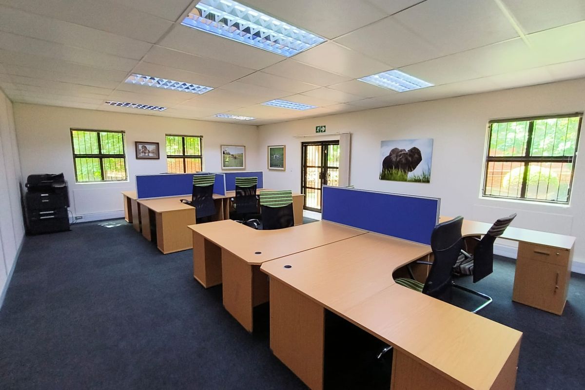 A well-lit office space featuring a suspended ceiling, recessed lighting, security bars on windows, and carpeted flooring.