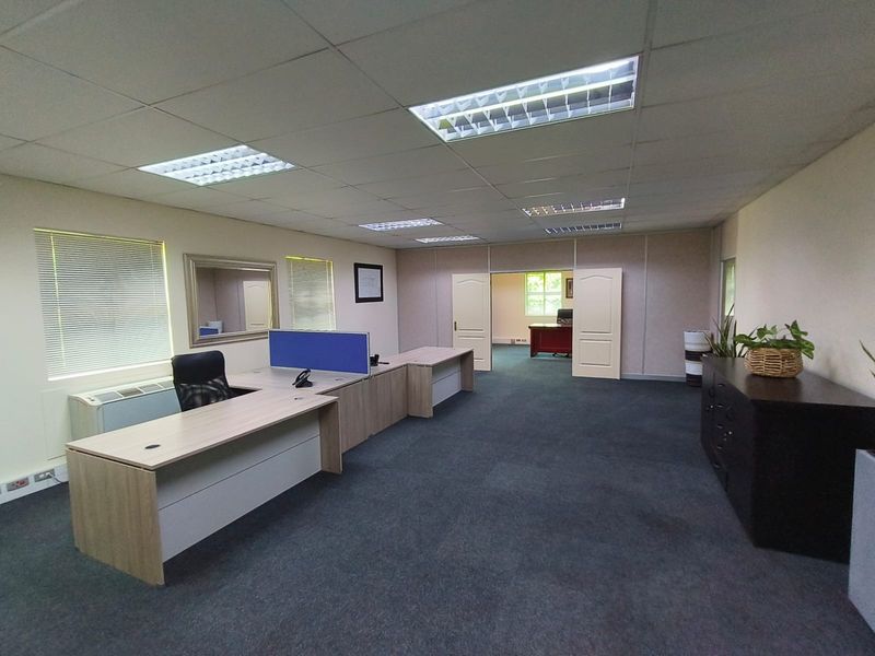 Spacious office area featuring a suspended ceiling with recessed lighting, carpeted flooring, and large windows with venetian blinds.