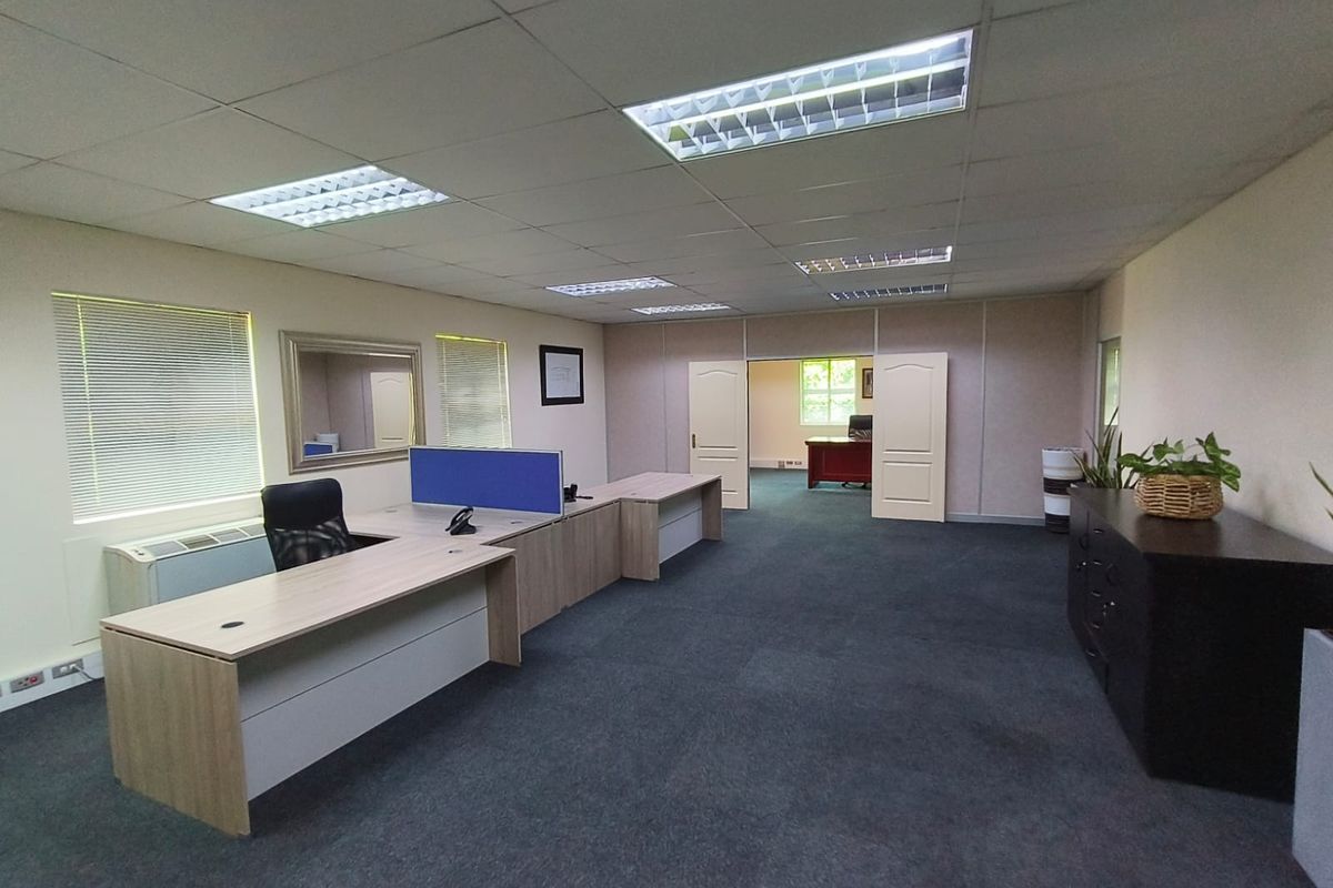 Spacious office area featuring a suspended ceiling with recessed lighting, carpeted flooring, and large windows with venetian blinds.