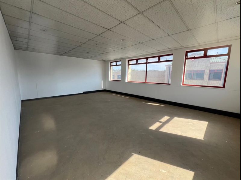 A spacious, empty office area featuring a suspended ceiling, recessed lighting, and large windows with aluminium frames, offering a blank canvas for customization.
