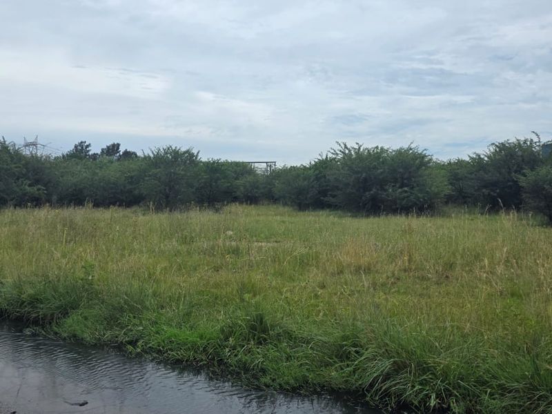 A view of a vacant commercial land plot featuring natural vegetation and grass, accessible from the adjacent road.