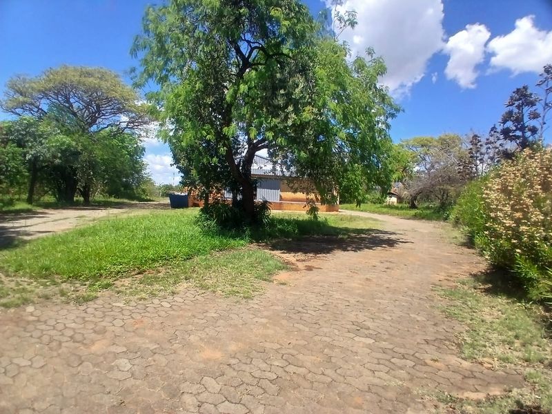 A view of the property entrance featuring a paved driveway leading towards the industrial building, surrounded by mature trees and established garden space.