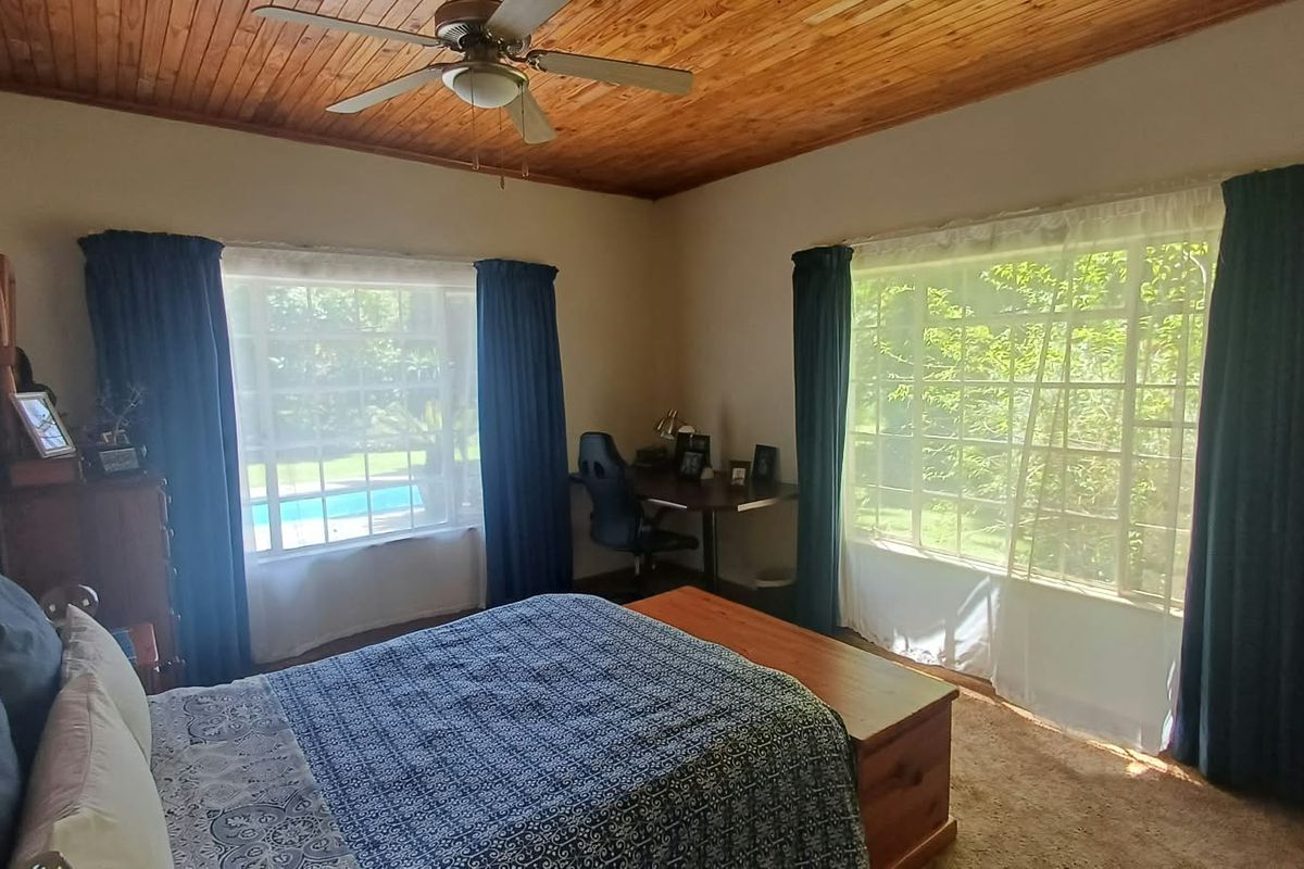 A spacious bedroom featuring a warm timber-clad ceiling, a ceiling fan, and large windows that provide ample natural light and garden views.