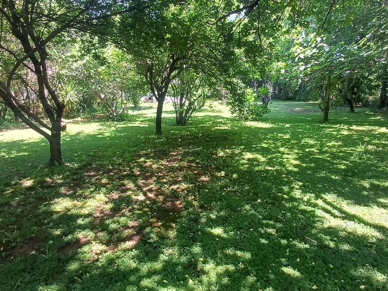 A spacious, shaded garden area featuring mature trees and established lawn, providing a peaceful outdoor setting on the farm property.