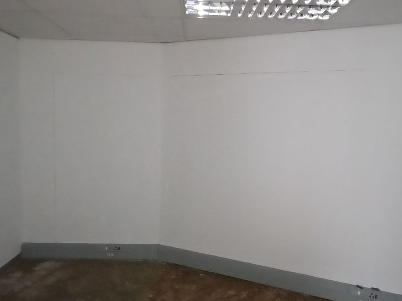 An empty office space featuring a suspended ceiling, recessed lighting, and basic electrical infrastructure, ready for customization or professional fit-out.