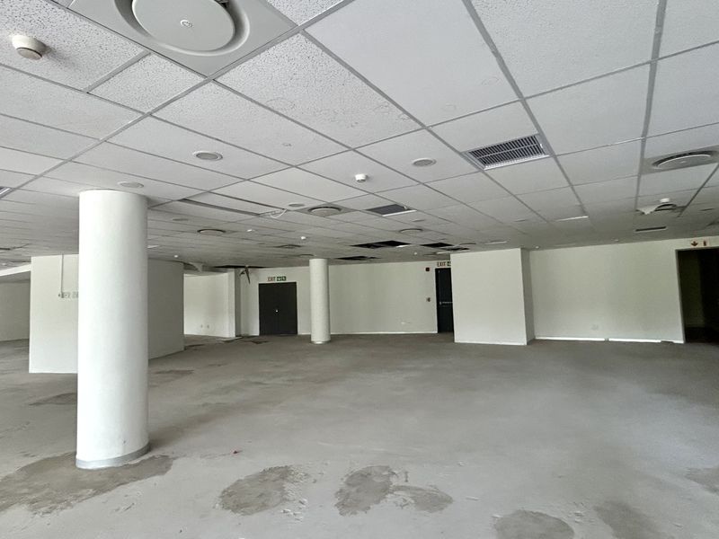 An expansive, open-plan office space featuring a suspended ceiling, structural columns, and unfinished concrete flooring, ready for custom fit-out.